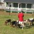 Oak Grove Opening Hunt